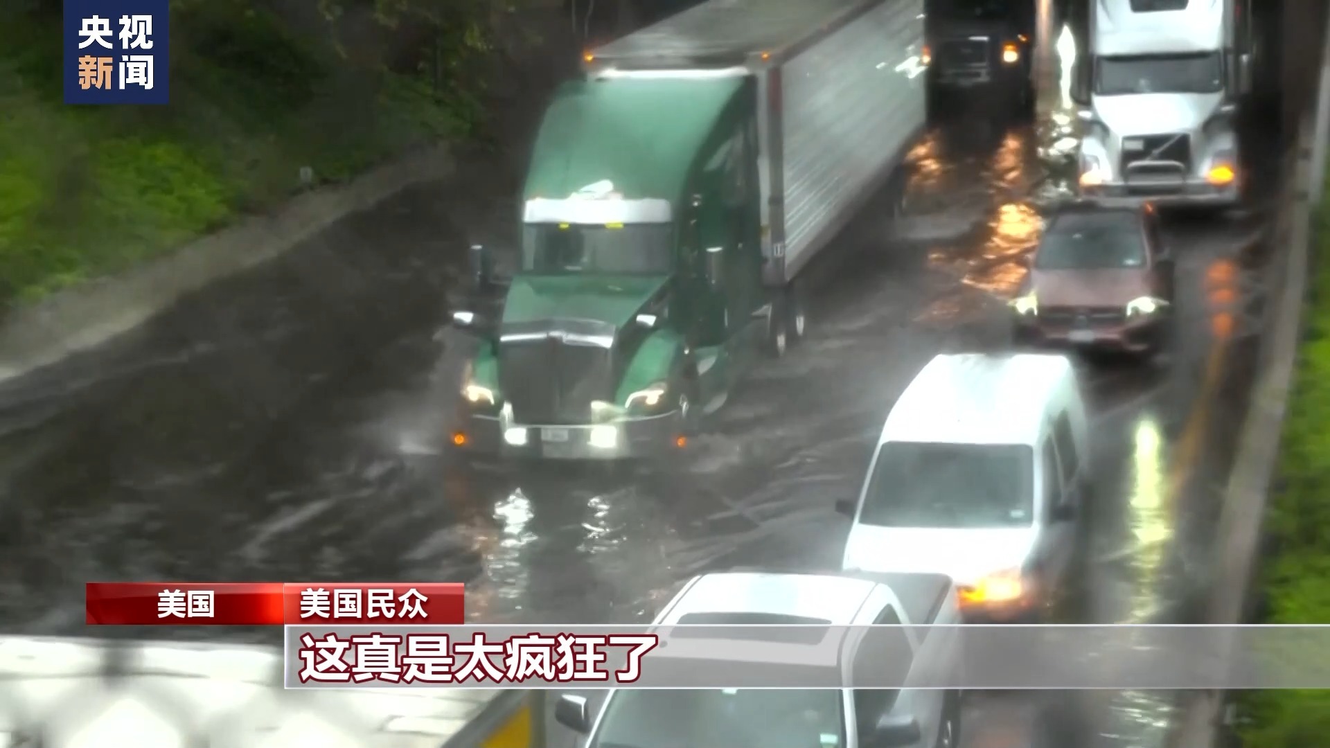 摇钱树捕鱼